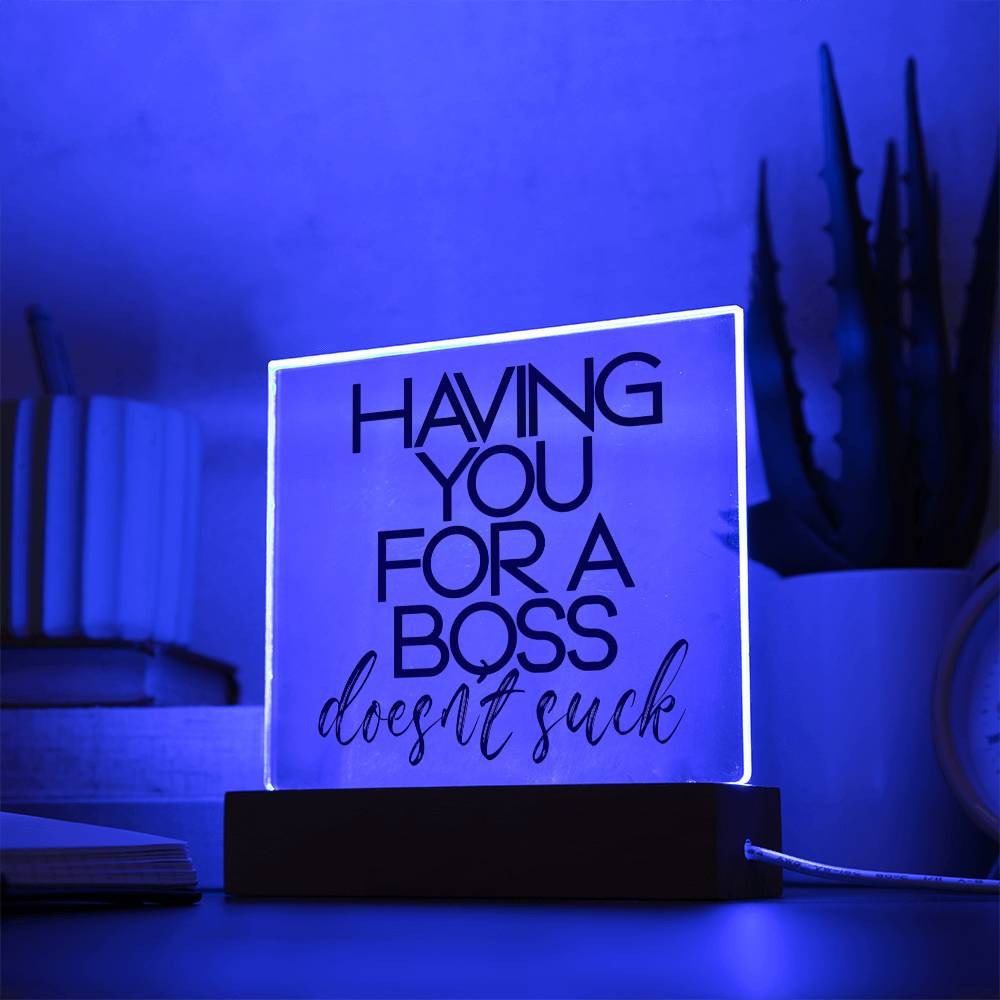 Funny Boss Gift - Having You For A Boss That Doesn't Suck Plaque