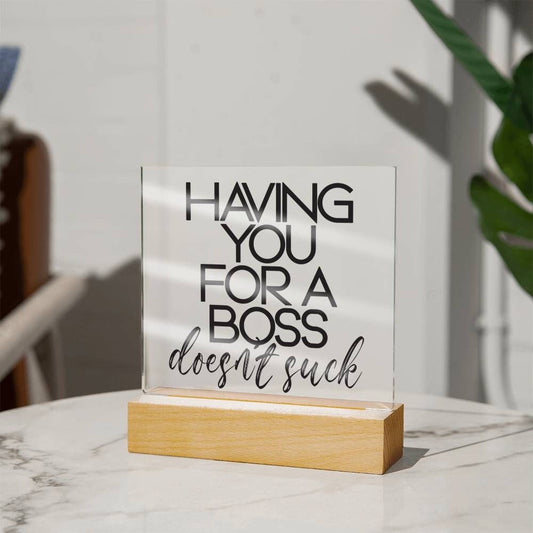 Funny Boss Gift - Having You For A Boss That Doesn't Suck Plaque
